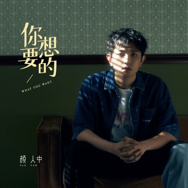 Album cover art for 你想要的