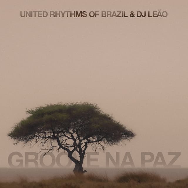Album cover art for Groove Na Paz