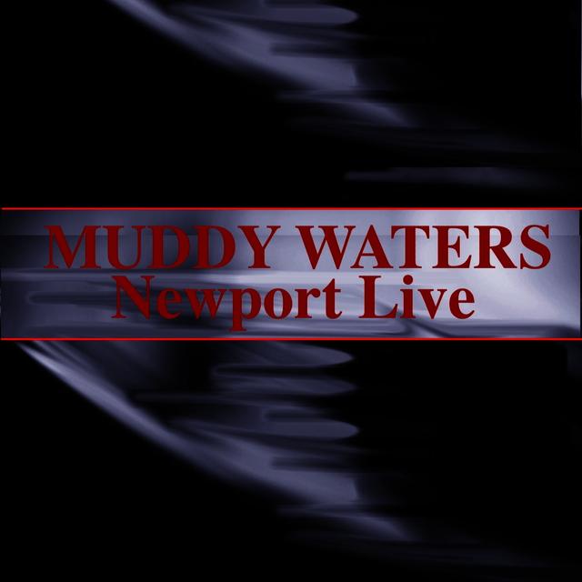 Album cover art for Newport Live