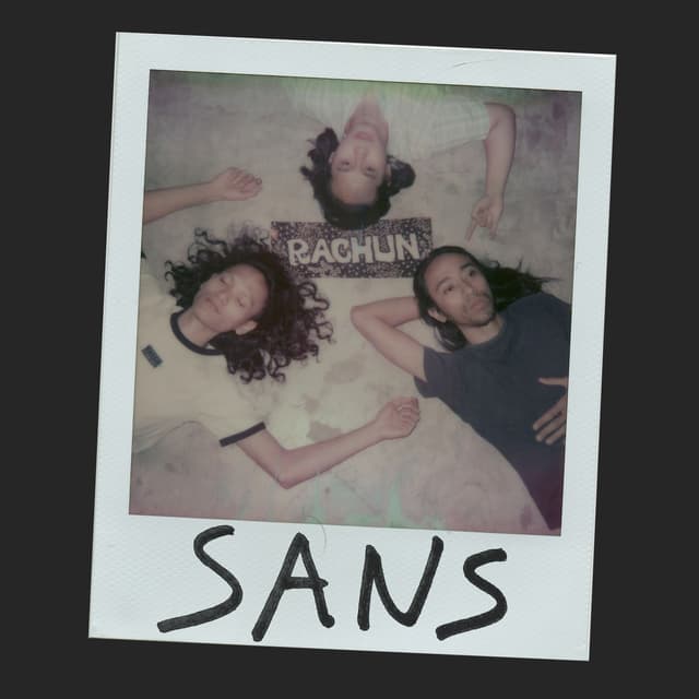 Album cover art for Sans