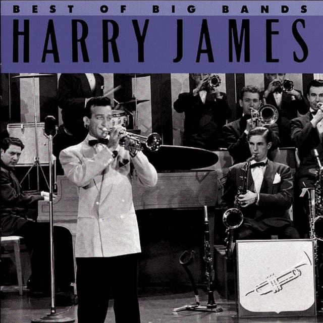 Album cover art for Best Of The Big Bands