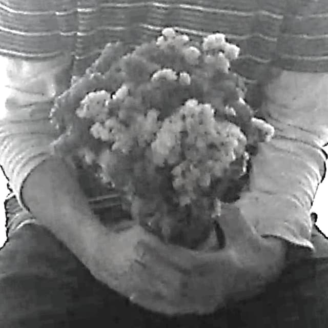 Album cover art for las flores que me diste