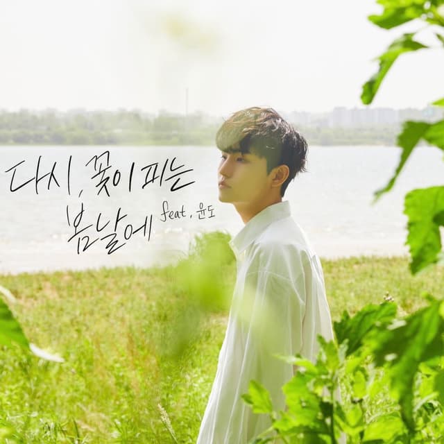 Album cover art for A Spring Day When Flowers Bloom Again