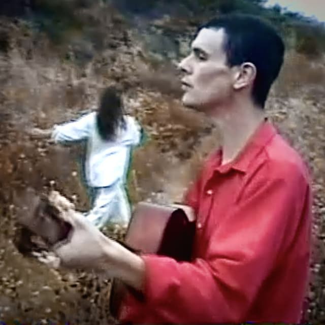 Album cover art for In The Garden