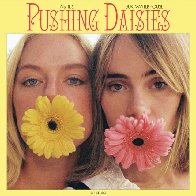 Album cover art for Pushing Daisies