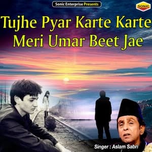 Album cover art for Tujhe Pyar Karte Karte Meri Umar Beet Jae (Ghazal)