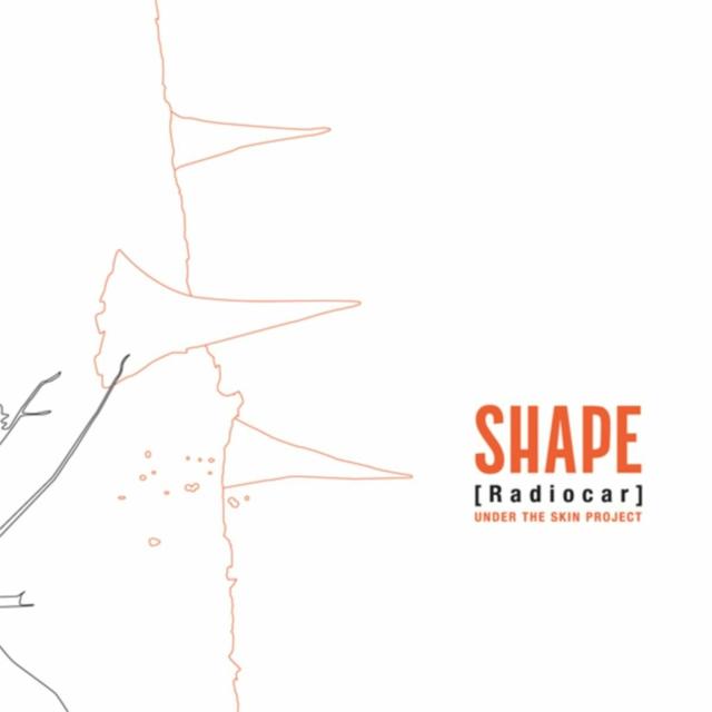 Album cover art for Under The Skin