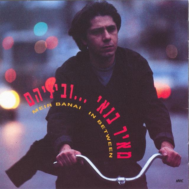 Album cover art for וביניהם