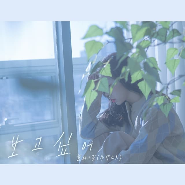 Album cover art for 보고싶어