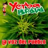 El Marginal