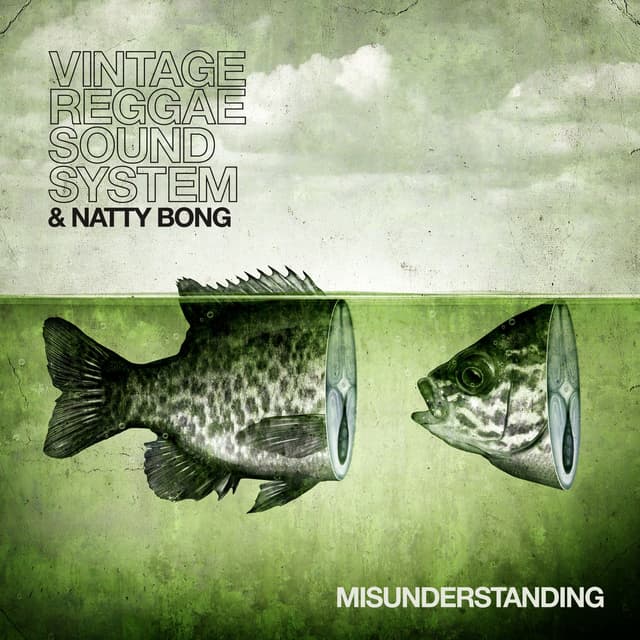 Album cover art for Misunderstanding