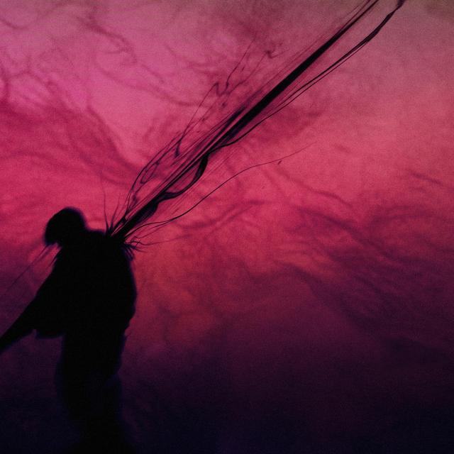 Album cover art for merci, j'sais m'perdre