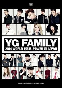 Album cover art for YG FAMILY WORLD TOUR 2014 -POWER- in Japan
