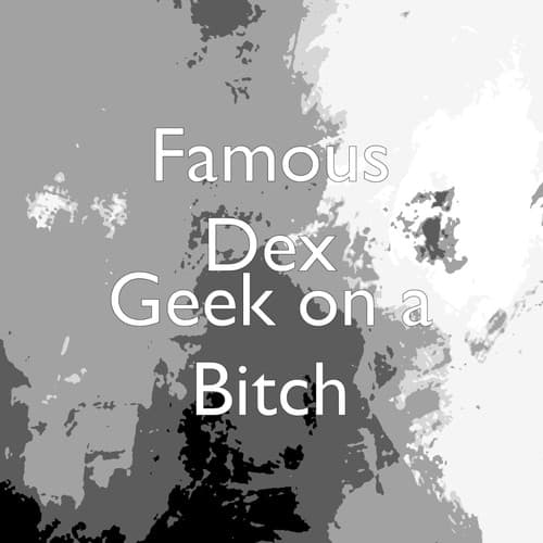 Album cover art for Geek on a Bitch