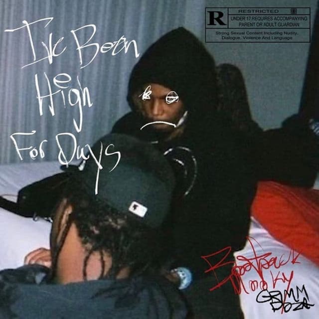 Album cover art for I’ve Been High for Days