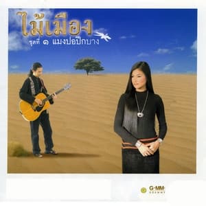 Album cover art for ชุดที่ 1 แมงปอปีกบาง