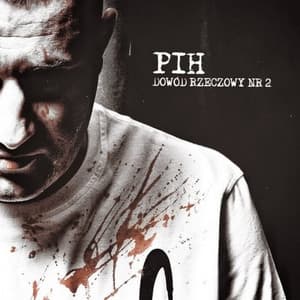 Album cover art for Dowód Rzeczowy Nr 2