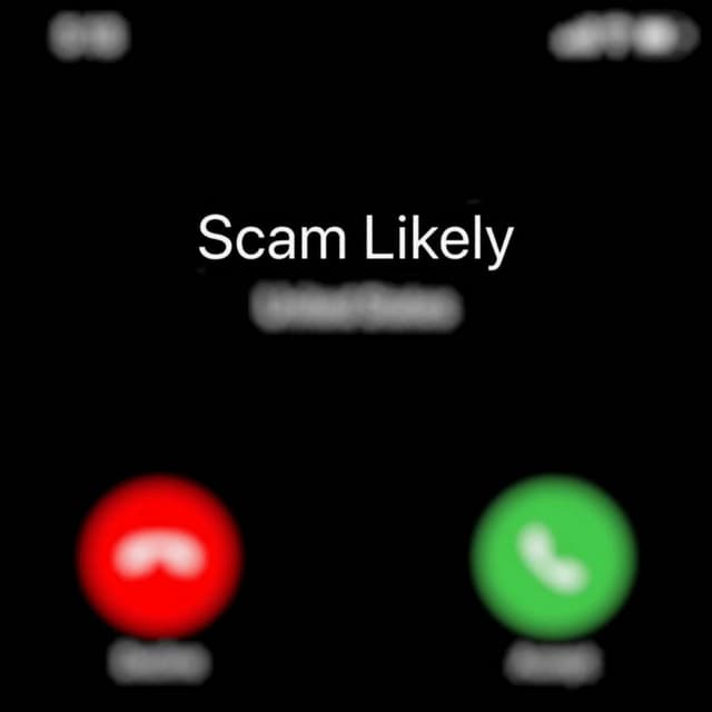 Album cover art for Scam Likely