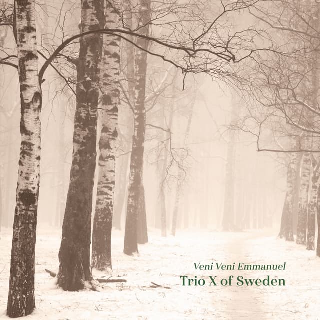 Album cover art for Veni Veni Emmanuel