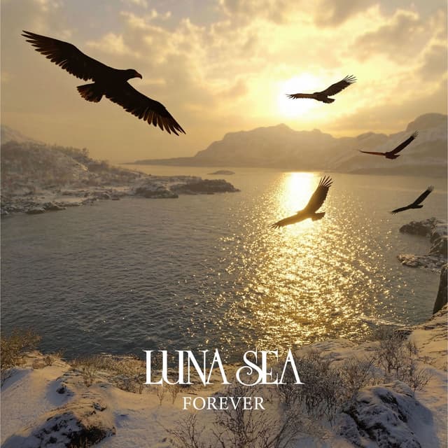 Album cover art for FOREVER