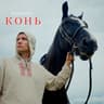 Конь