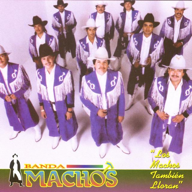 Album cover art for Los machos también lloran