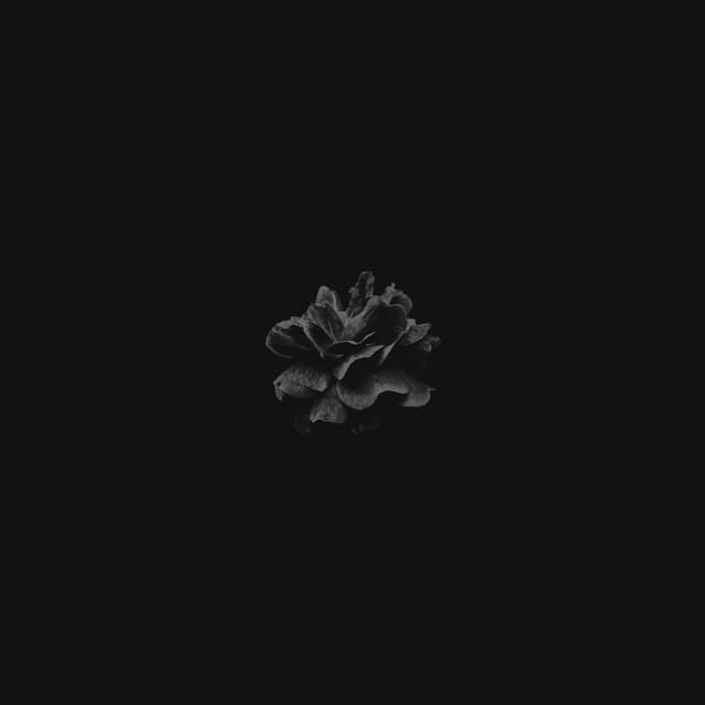 Album cover art for Rosethorn