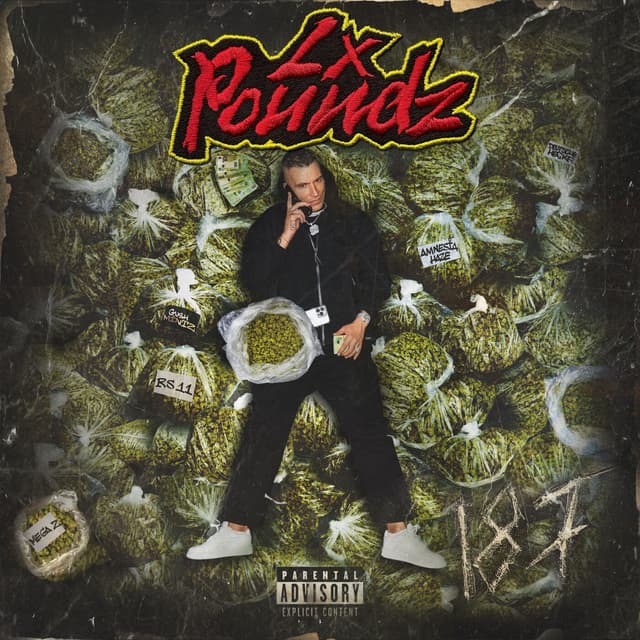 Album cover art for POUNDZ
