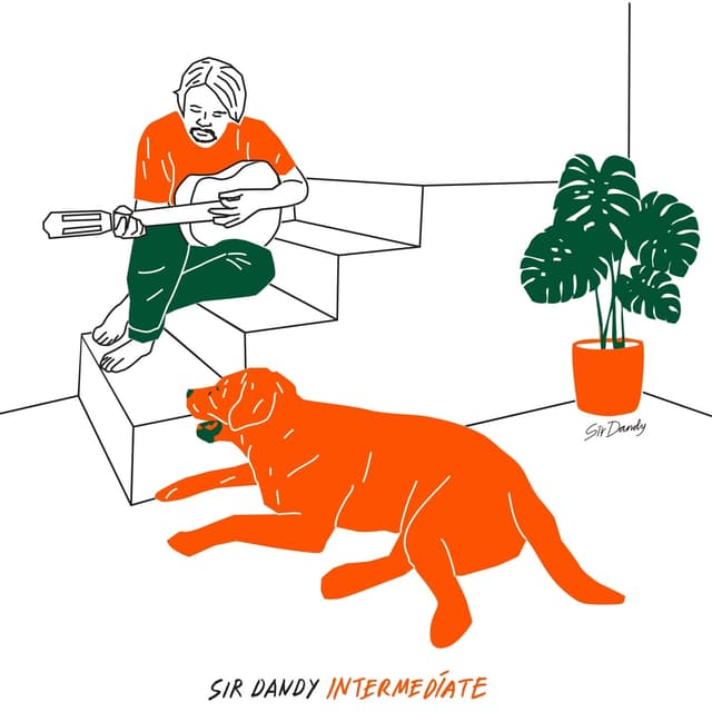 Album cover art for Intermediate