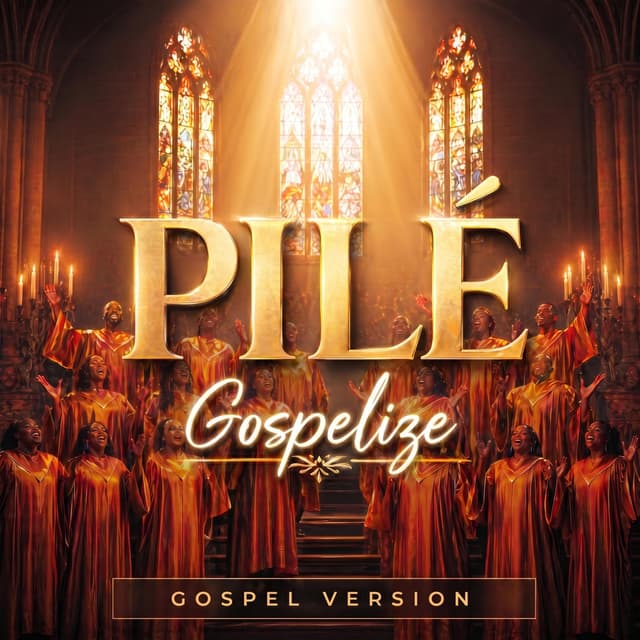 Album cover art for Pilé