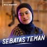 Sebatas Teman