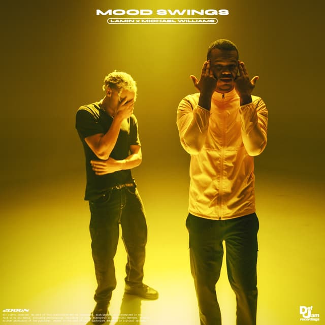 Album cover art for Mood Swings