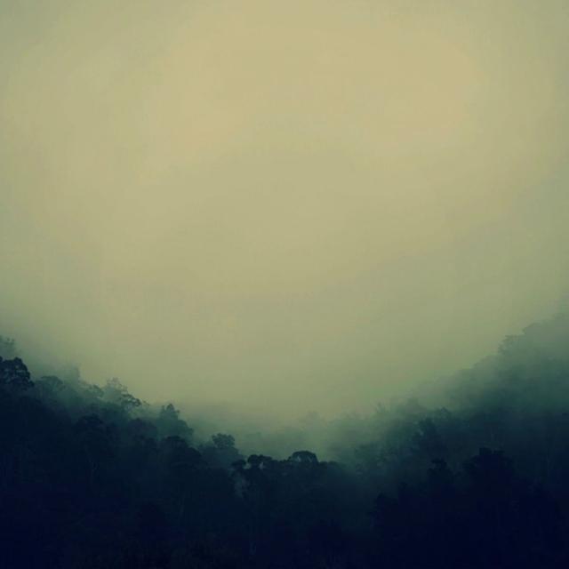 Album cover art for Fortnite