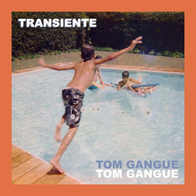 Album cover art for Transiente
