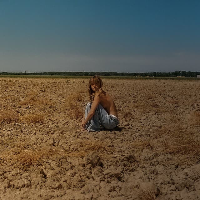 Album cover art for Louise