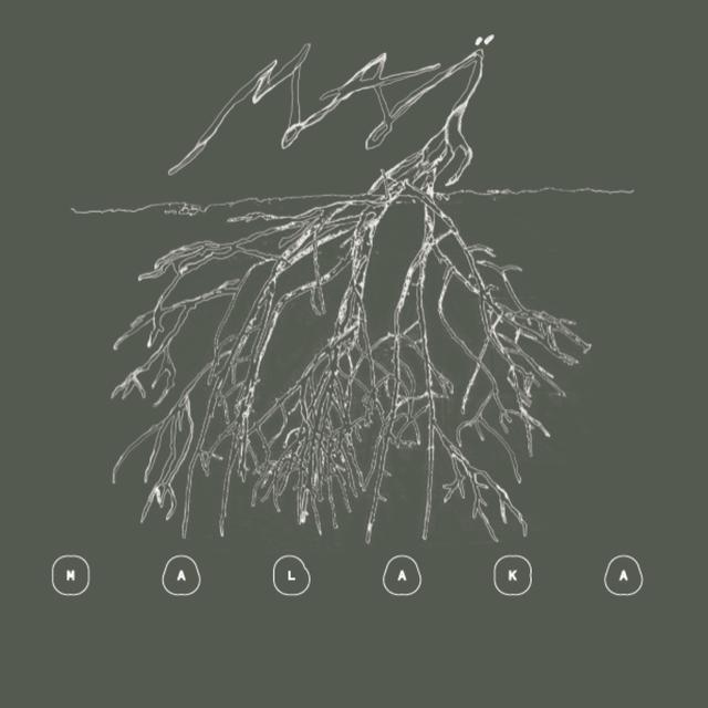 Album cover art for Maï