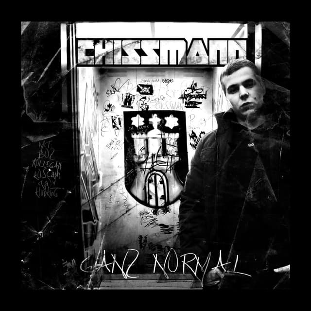 Album cover art for Ganz normal