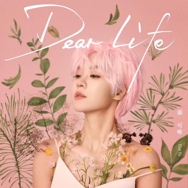 Album cover art for Dear Life