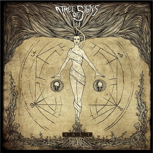 Album cover art for Salt