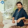 لا اي اي