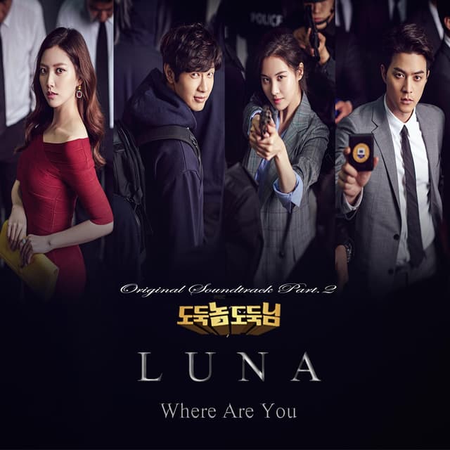 Album cover art for 도둑놈 도둑님 OST Part.2