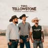 Tipo Yellowstone