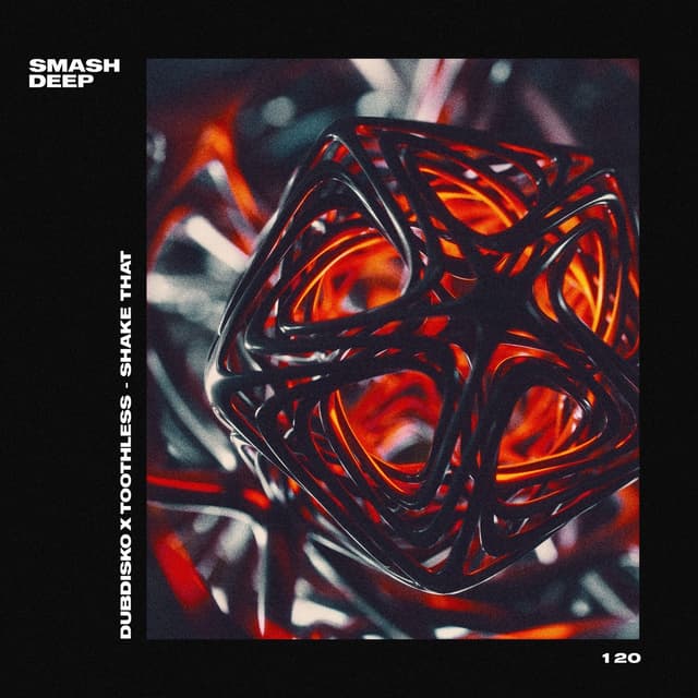Album cover art for Shake That