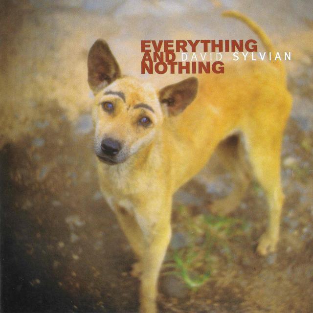 Album cover art for Everything and Nothing