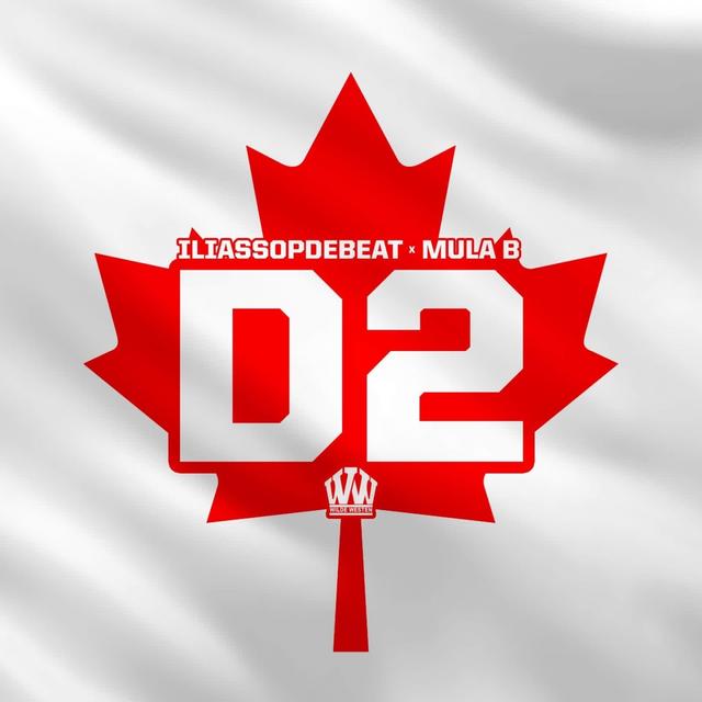 Album cover art for D2