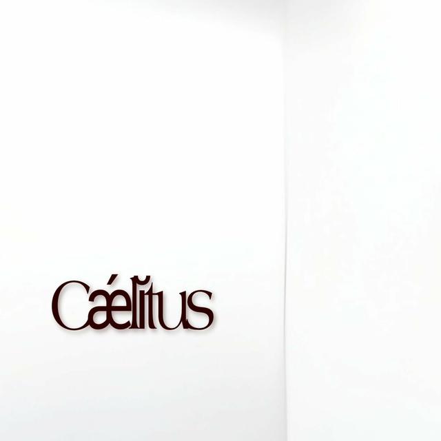 Album cover art for sorry