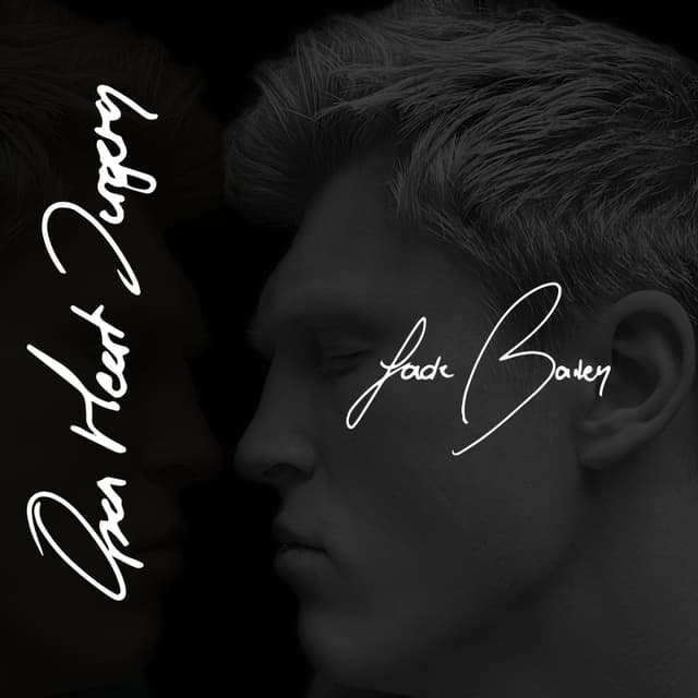 Album cover art for Open Heart Surgery