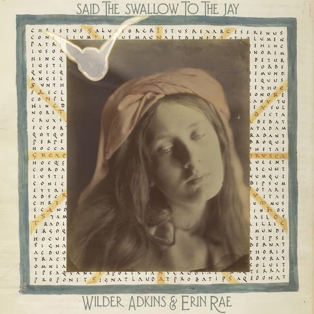 Album cover art for Said The Swallow To The Jay