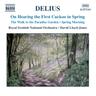 A Song Before Sunrise