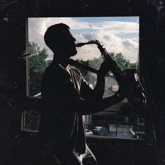 Album cover art for Disillusioned